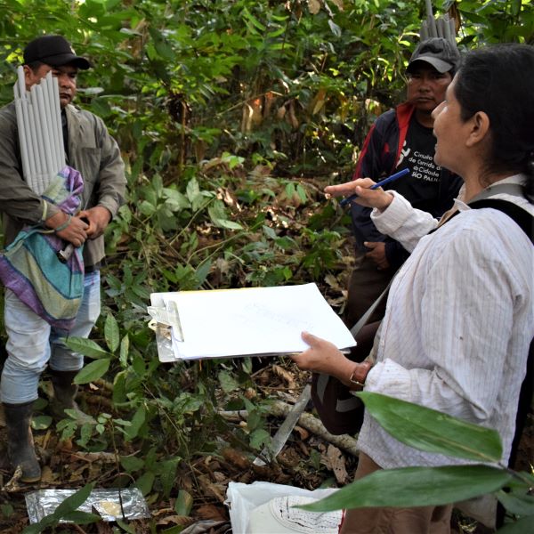Group of people conducting research in forest