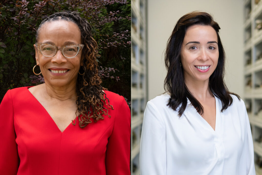 Headshots of MacArthur Fellows