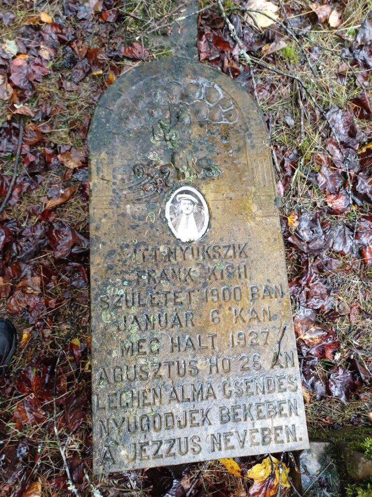 An old gravestone with engraved text and an oval photo in the center, surrounded by fallen leaves.