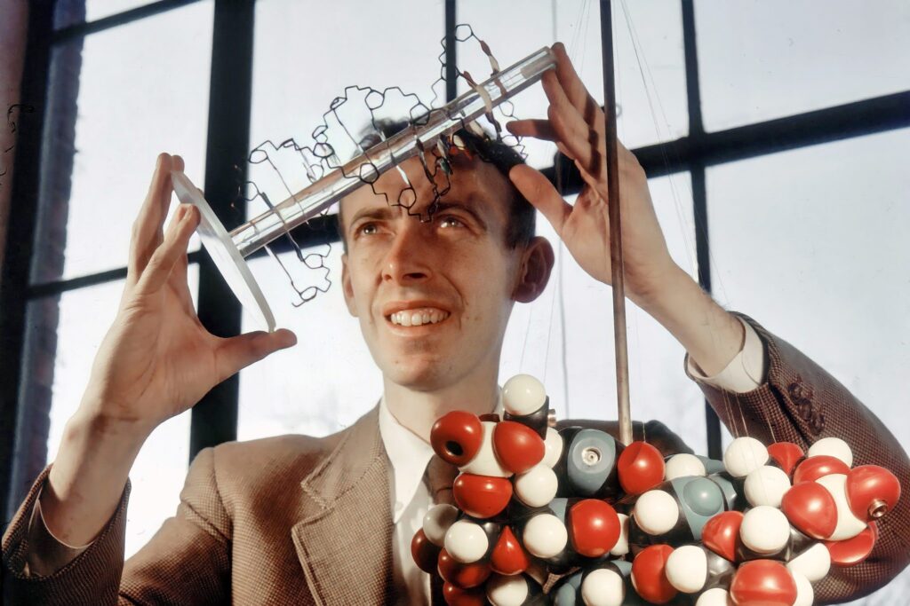 A young James Watson wearing a jacket and tie holding a molecular model of DNA structure with spheres and helical wires in front of large windows