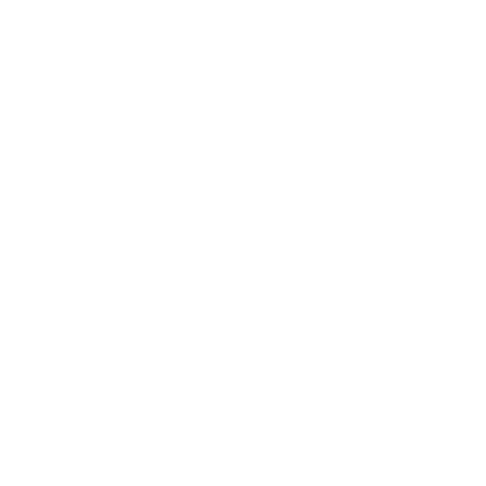 Freedom 250