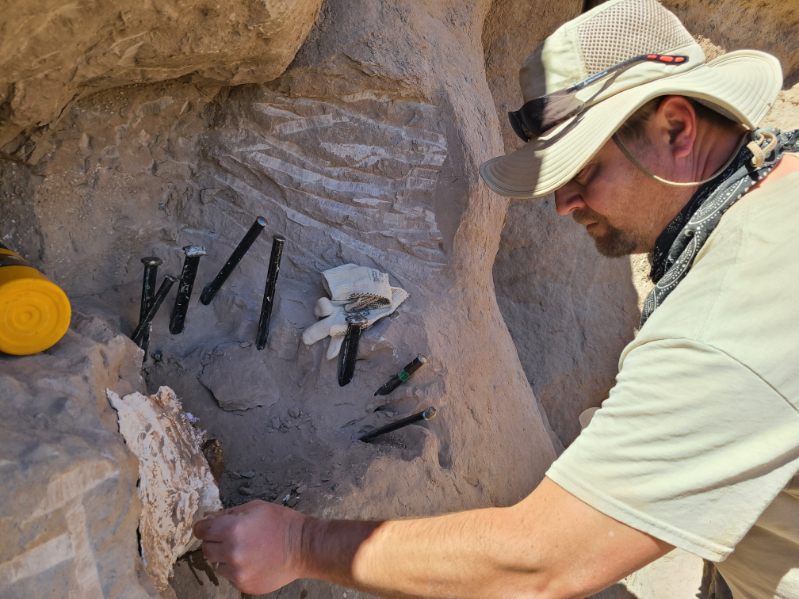 A man wearing a beige sun hat and engaged in an archaeological excavation is leaning over a rock cavity with tools inserted upright into the ground. 